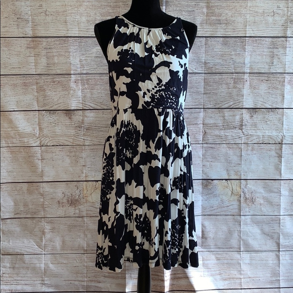 Ann Taylor Loft Dress